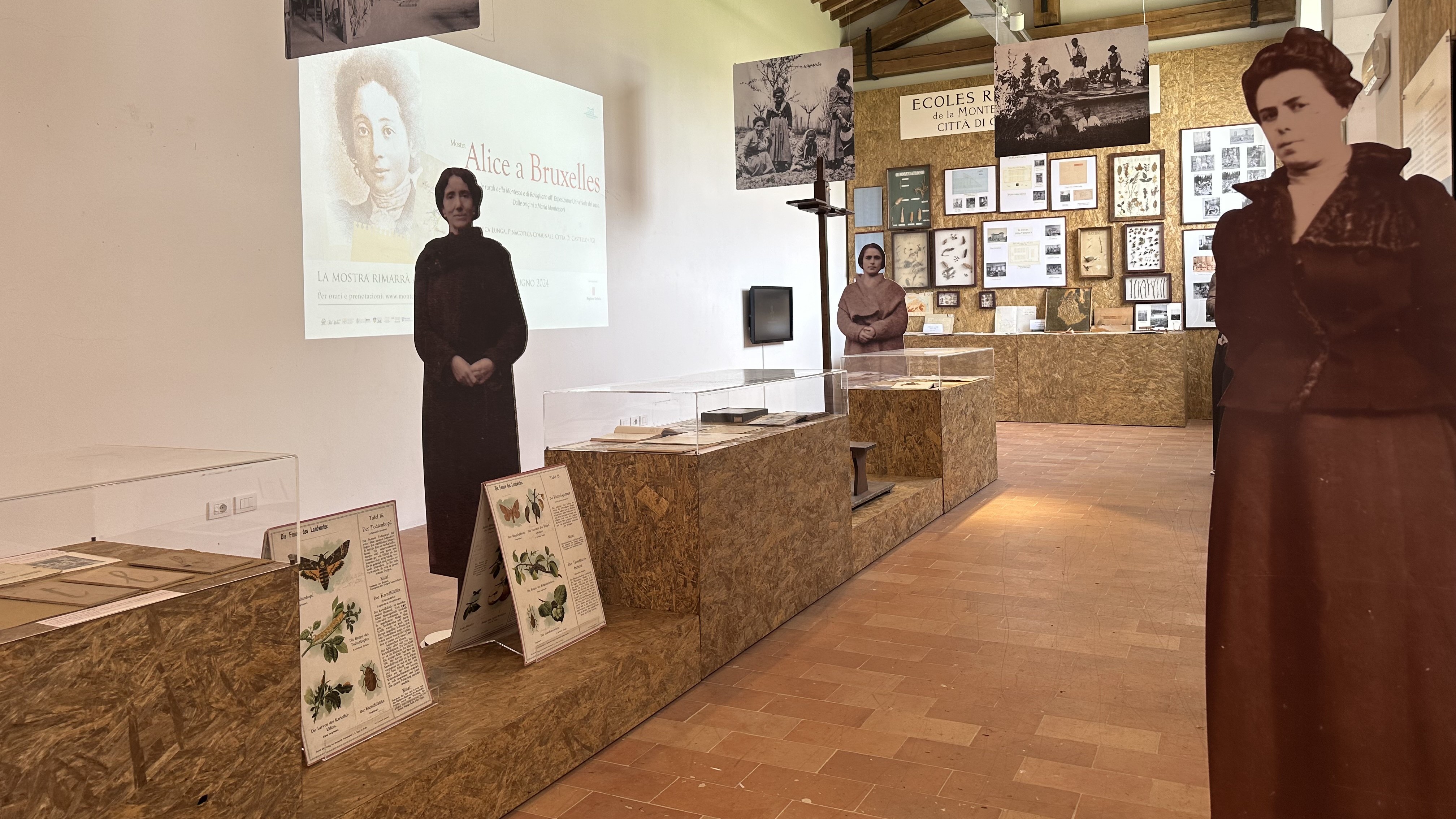 Display Video Thumbnail